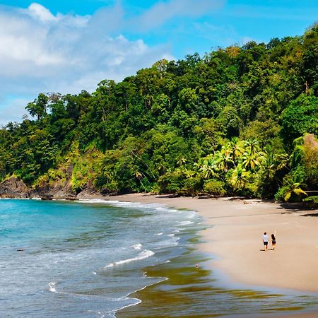 Corcovado Wilderness Lodge By Scp San Pedrillo Exteriér fotografie