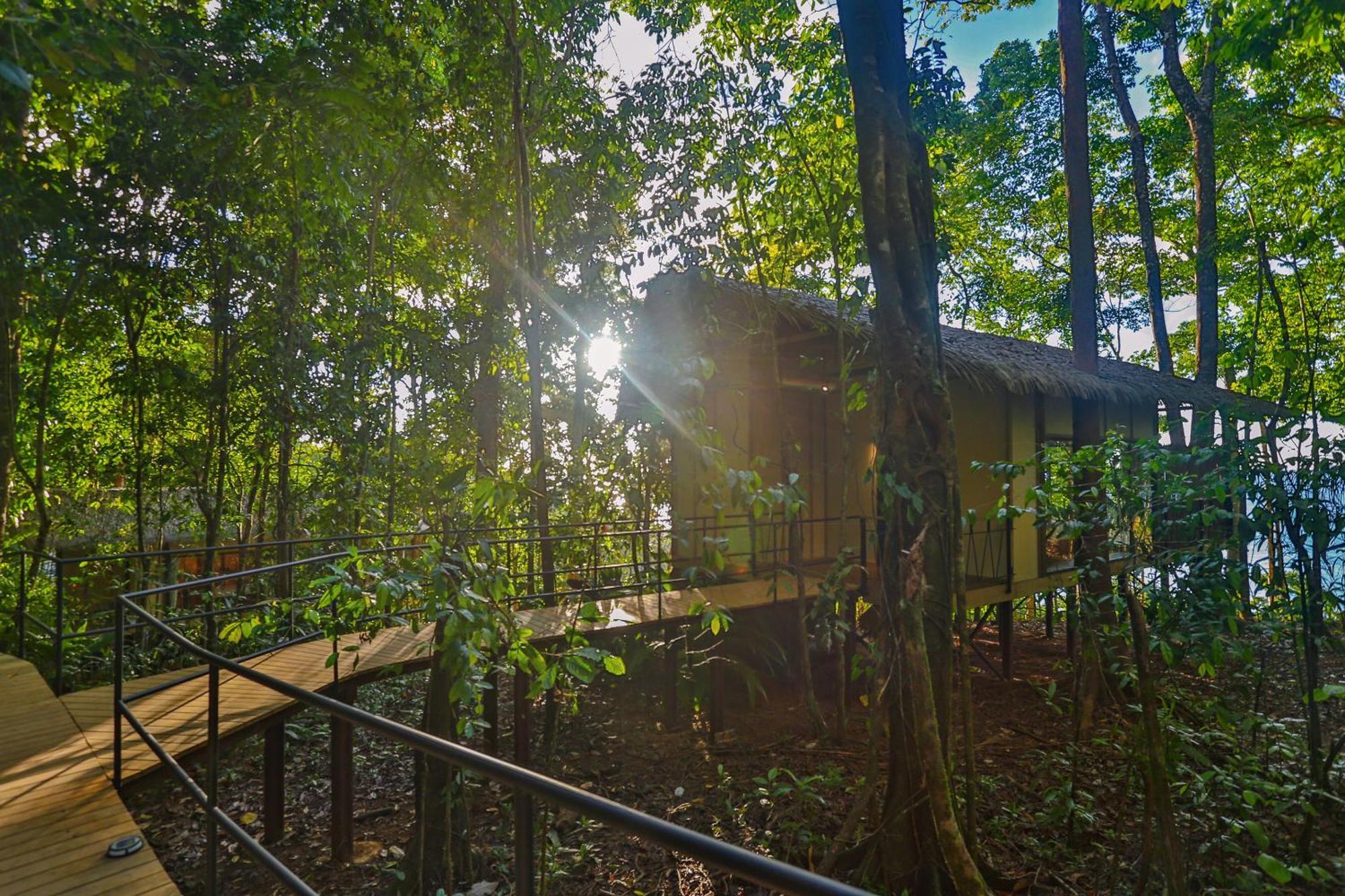 Corcovado Wilderness Lodge By Scp San Pedrillo Exteriér fotografie