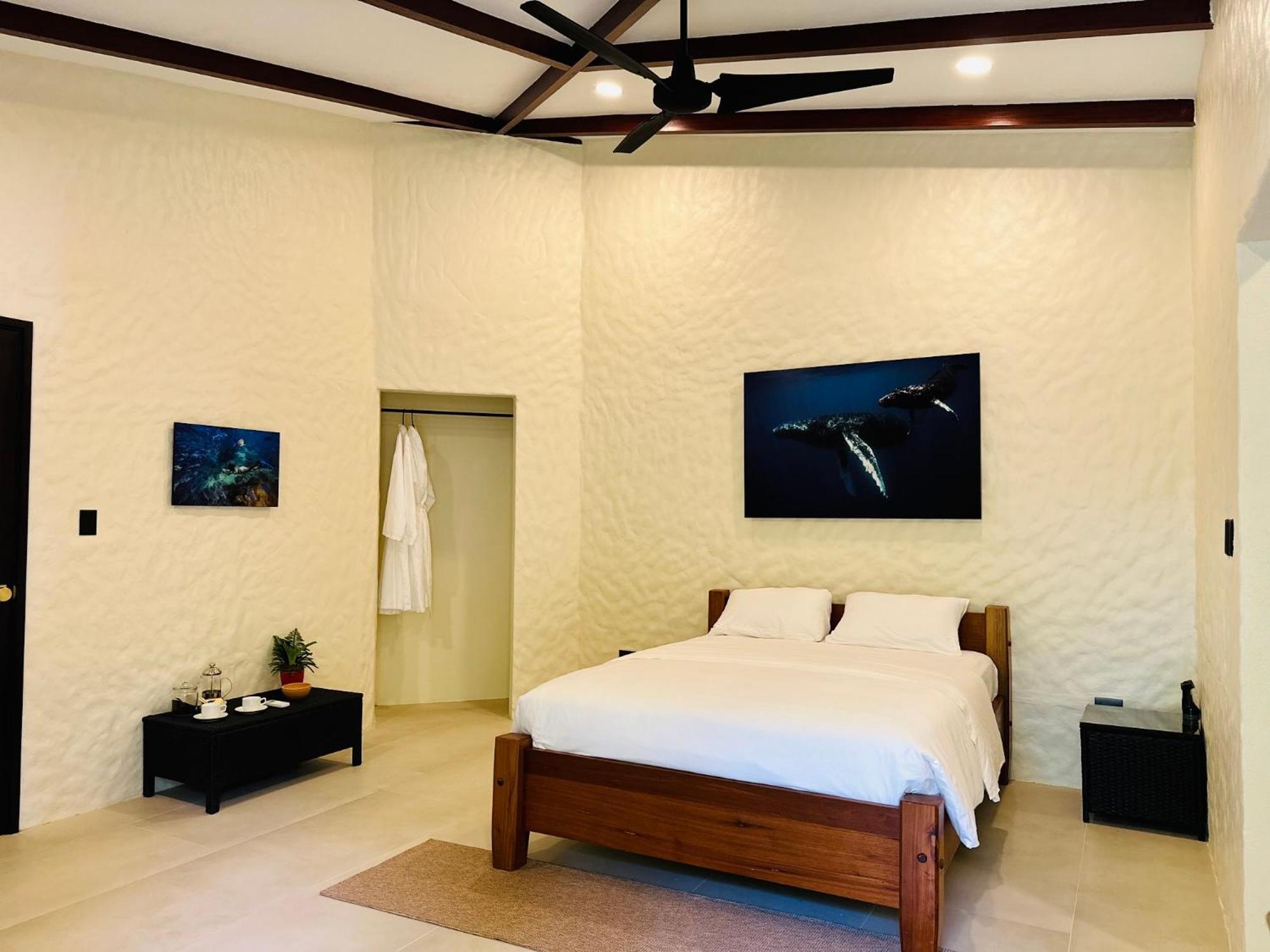 Corcovado Wilderness Lodge By Scp San Pedrillo Exteriér fotografie