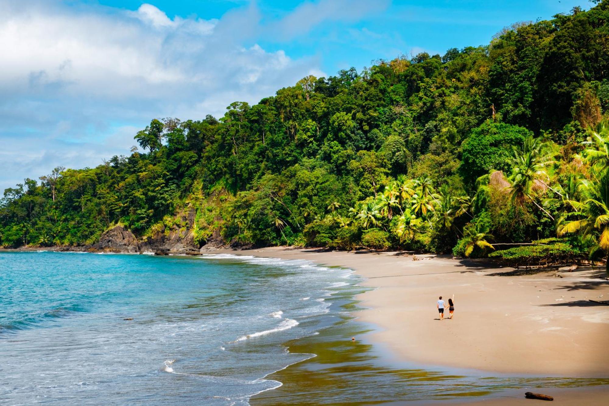 Corcovado Wilderness Lodge By Scp San Pedrillo Exteriér fotografie