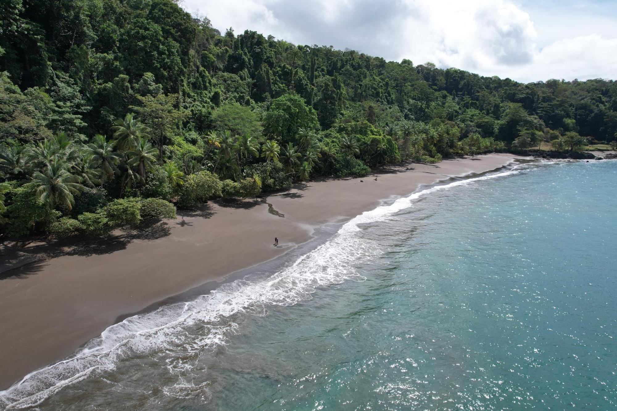 Corcovado Wilderness Lodge By Scp San Pedrillo Exteriér fotografie