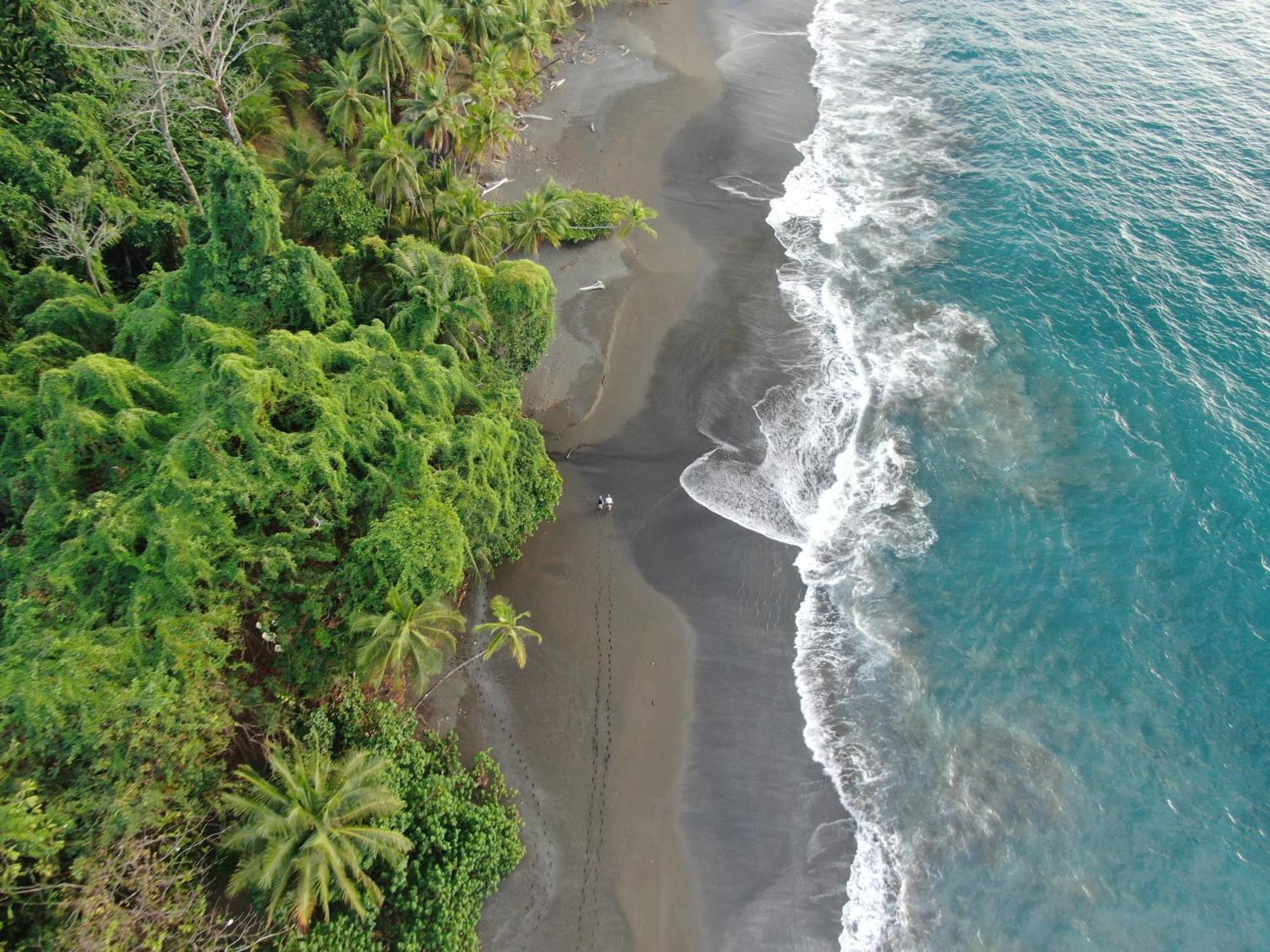 Corcovado Wilderness Lodge By Scp San Pedrillo Exteriér fotografie