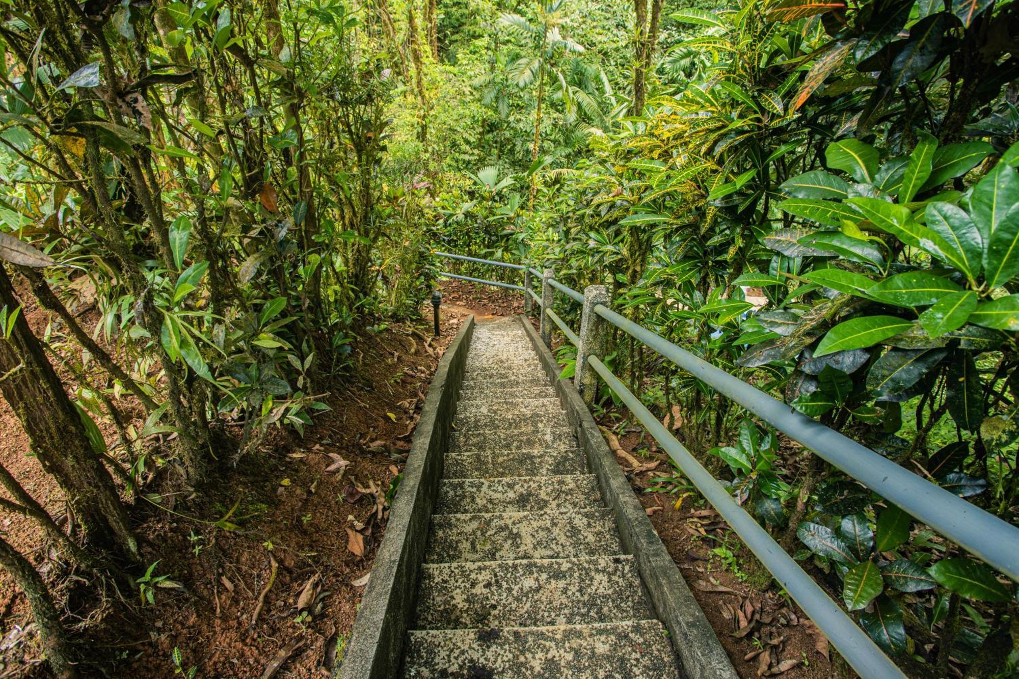 Corcovado Wilderness Lodge By Scp San Pedrillo Exteriér fotografie