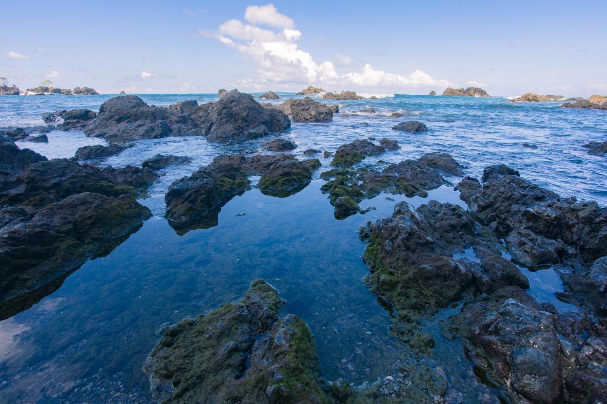 Corcovado Wilderness Lodge By Scp San Pedrillo Exteriér fotografie