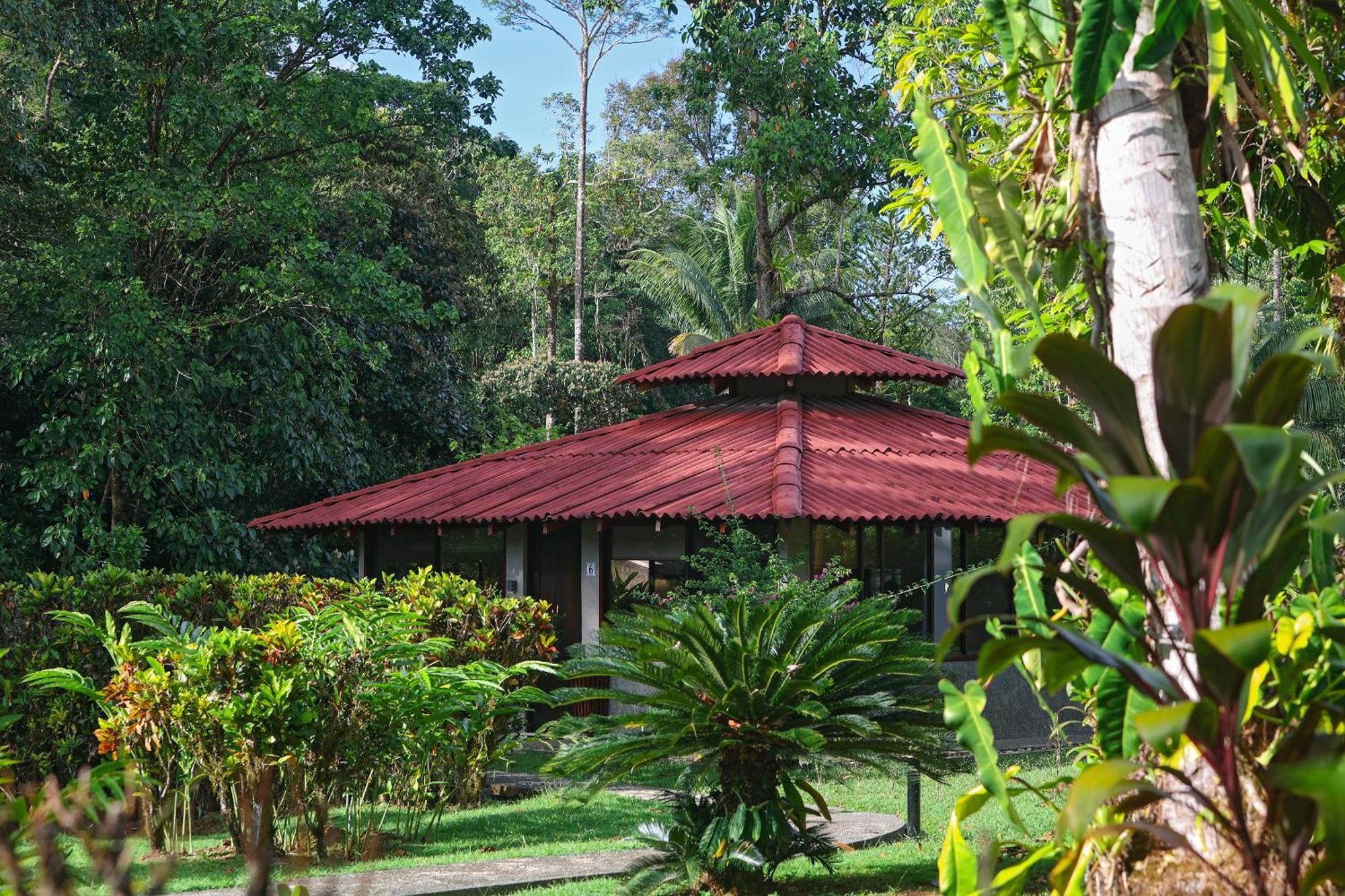 Corcovado Wilderness Lodge By Scp San Pedrillo Exteriér fotografie